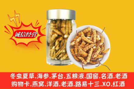 郴州汝城县名酒回收散虫草.jpg