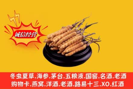 郴州汝城县名酒回收冬虫夏草.jpg